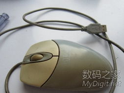 數(shù)字產(chǎn)品技術(shù)交流網(wǎng)站 推動創(chuàng)新與協(xié)作的橋梁