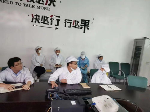 第十一事業(yè)部涂裝深圳工廠成功舉辦技術(shù)交流活動，共促工藝革新與質(zhì)量提升